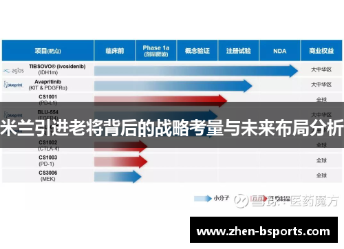 米兰引进老将背后的战略考量与未来布局分析