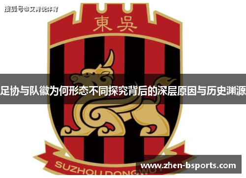 足协与队徽为何形态不同探究背后的深层原因与历史渊源