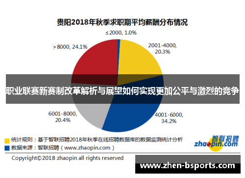 职业联赛新赛制改革解析与展望如何实现更加公平与激烈的竞争